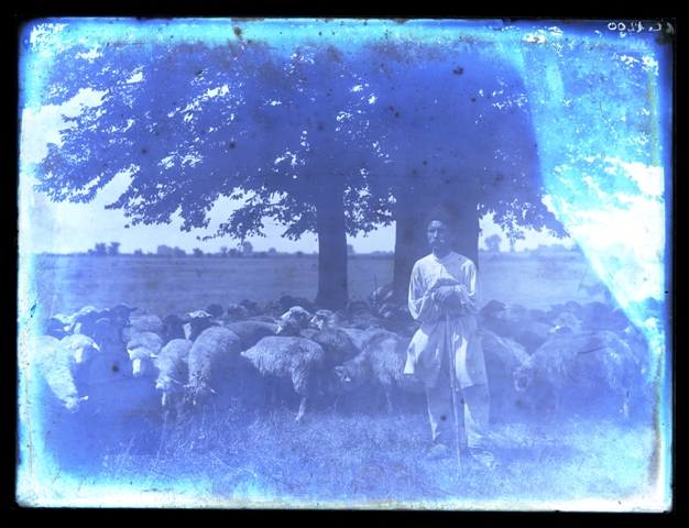 8. Landscape, from The Ethnological Archive of The National Museum of the Romanian Peasant, Bucharest, glass plate negative, reference code CS-1200 (between 1880 - 1945)